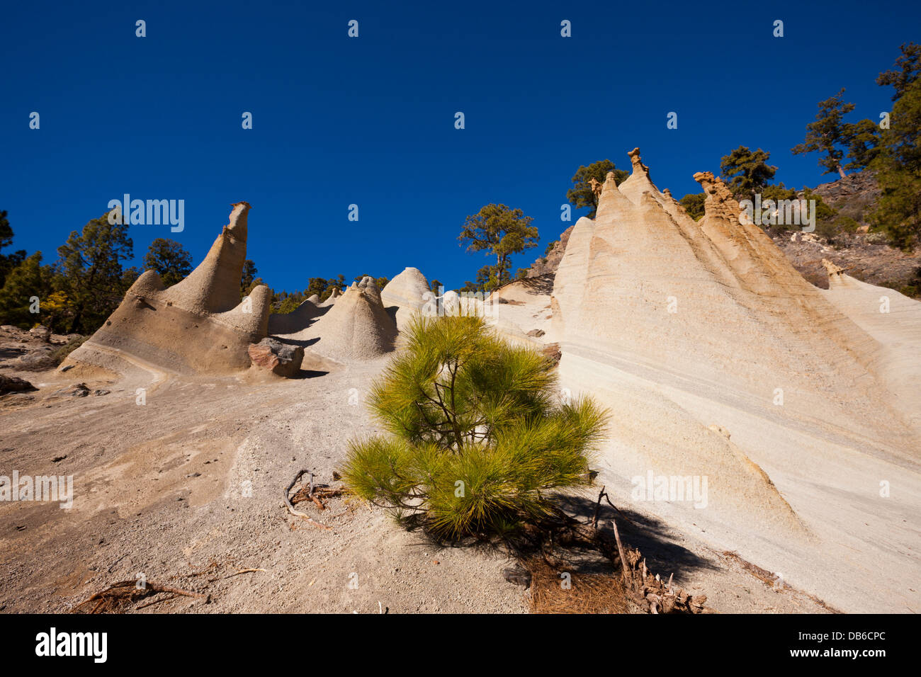 Mondlandschaft Paisaje Lunar im Teide-Nationalpark, Teneriffa, Kanarische Inseln, Spanien Stockfoto