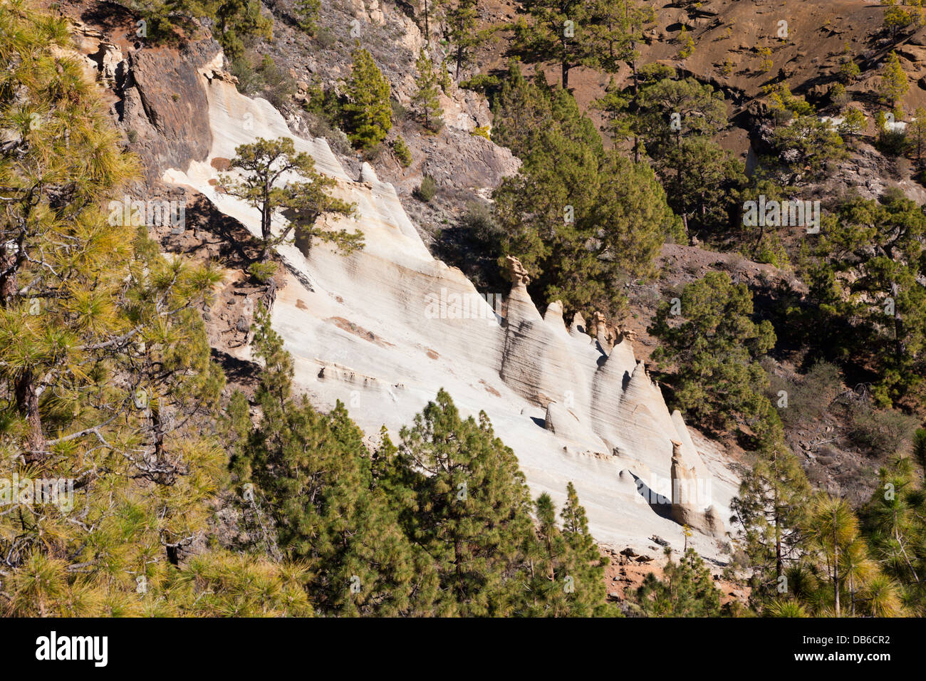 Mondlandschaft Paisaje Lunar im Teide-Nationalpark, Teneriffa, Kanarische Inseln, Spanien Stockfoto