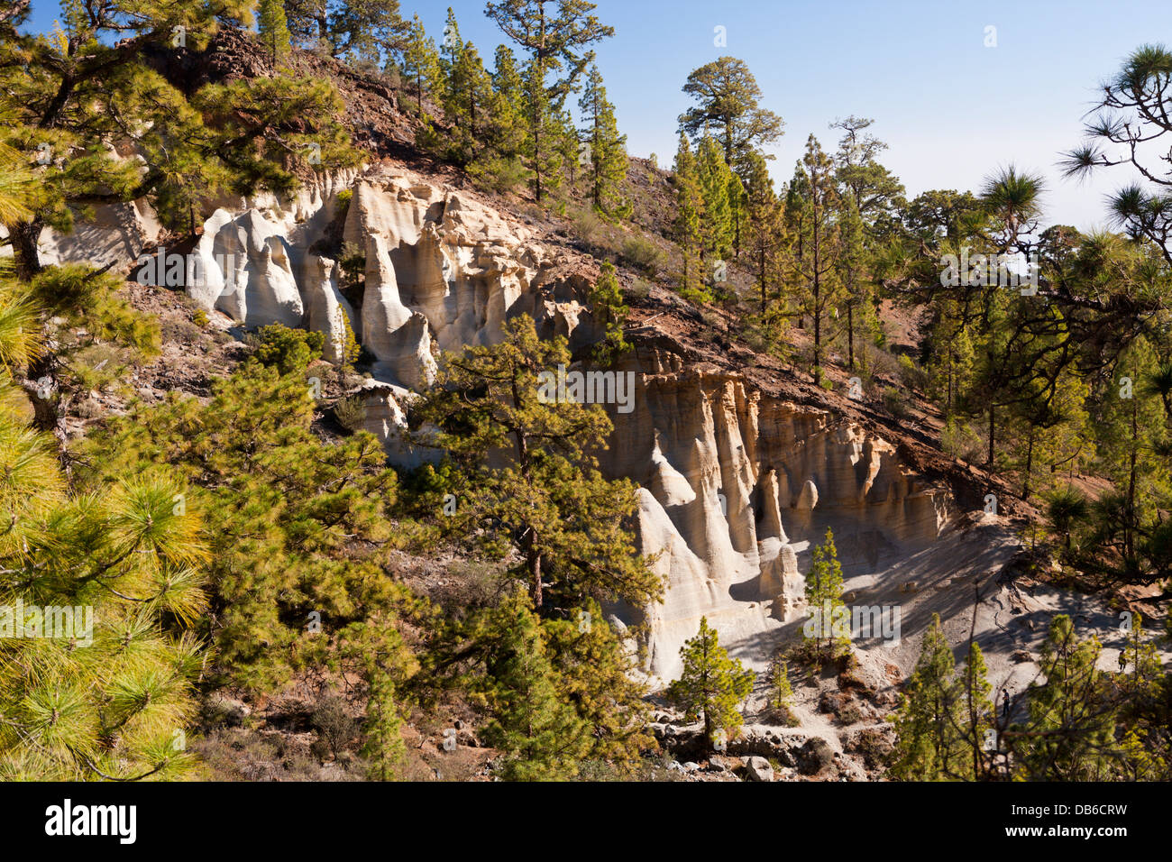 Mondlandschaft Paisaje Lunar im Teide-Nationalpark, Teneriffa, Kanarische Inseln, Spanien Stockfoto