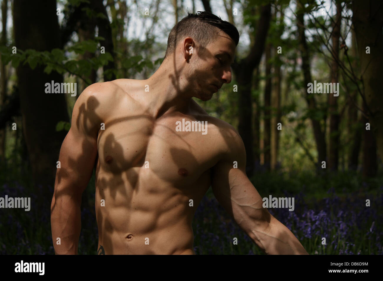 Ein männliches Model posierte in einem Waldgebiet. Stockfoto