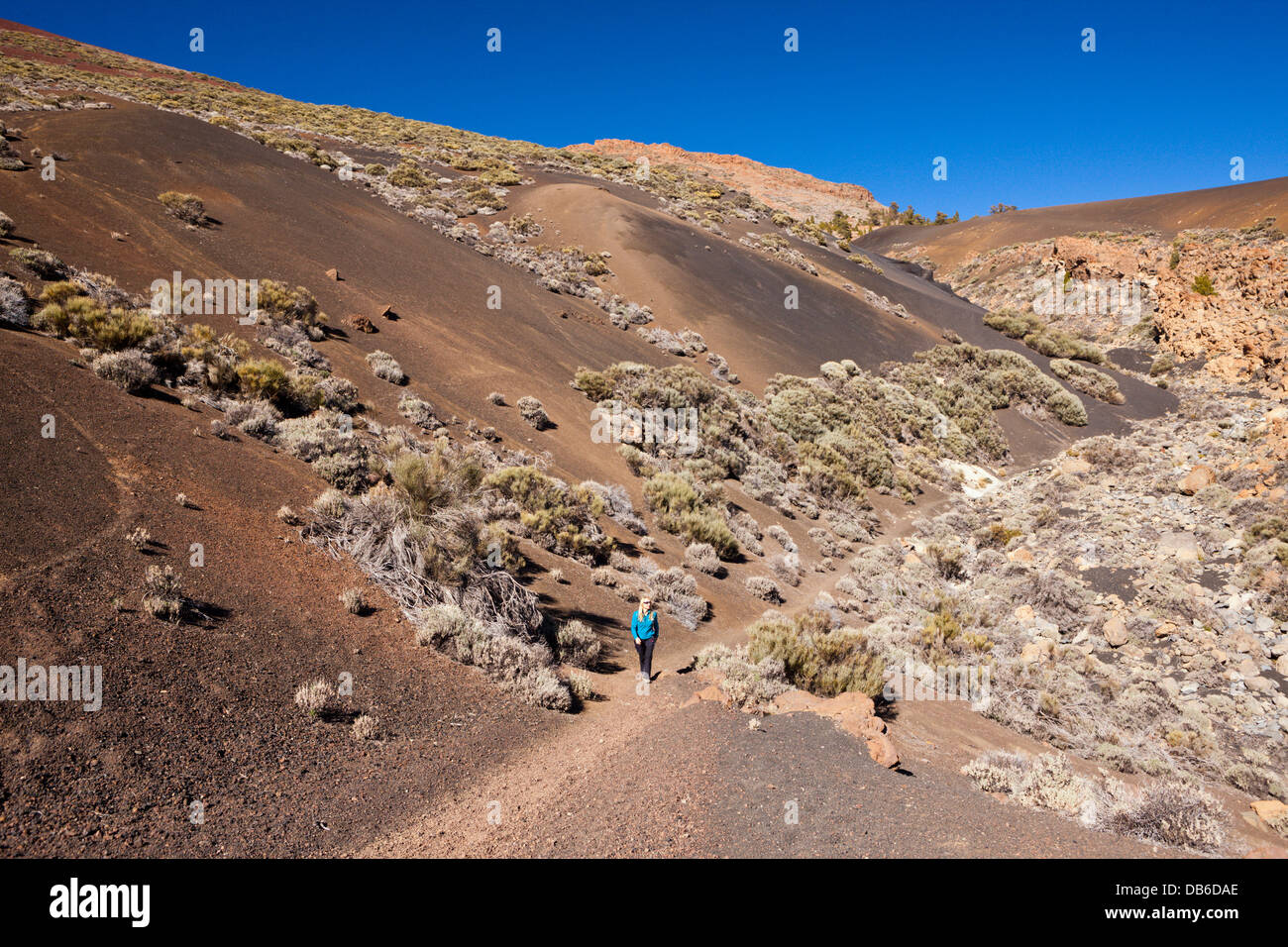 Schwarze Moonlandscape im Teide-Nationalpark, Teneriffa, Kanarische Inseln, Spanien Stockfoto
