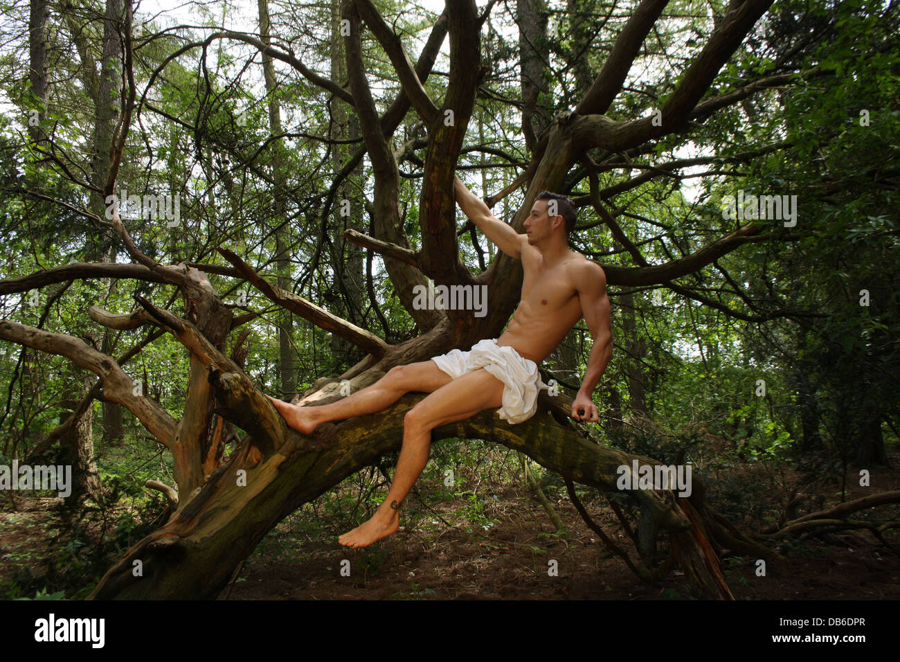 Ein männliches Modell sitzt in einem Baum. Stockfoto