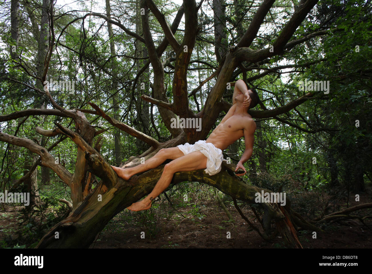 Ein männliches Modell sitzt in einem Baum. Stockfoto