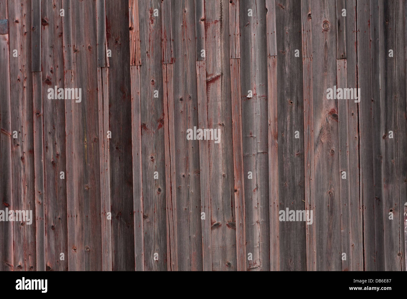 Gürtelrose-Wand auf einem sehr alten Holz Gebäude Stockfoto