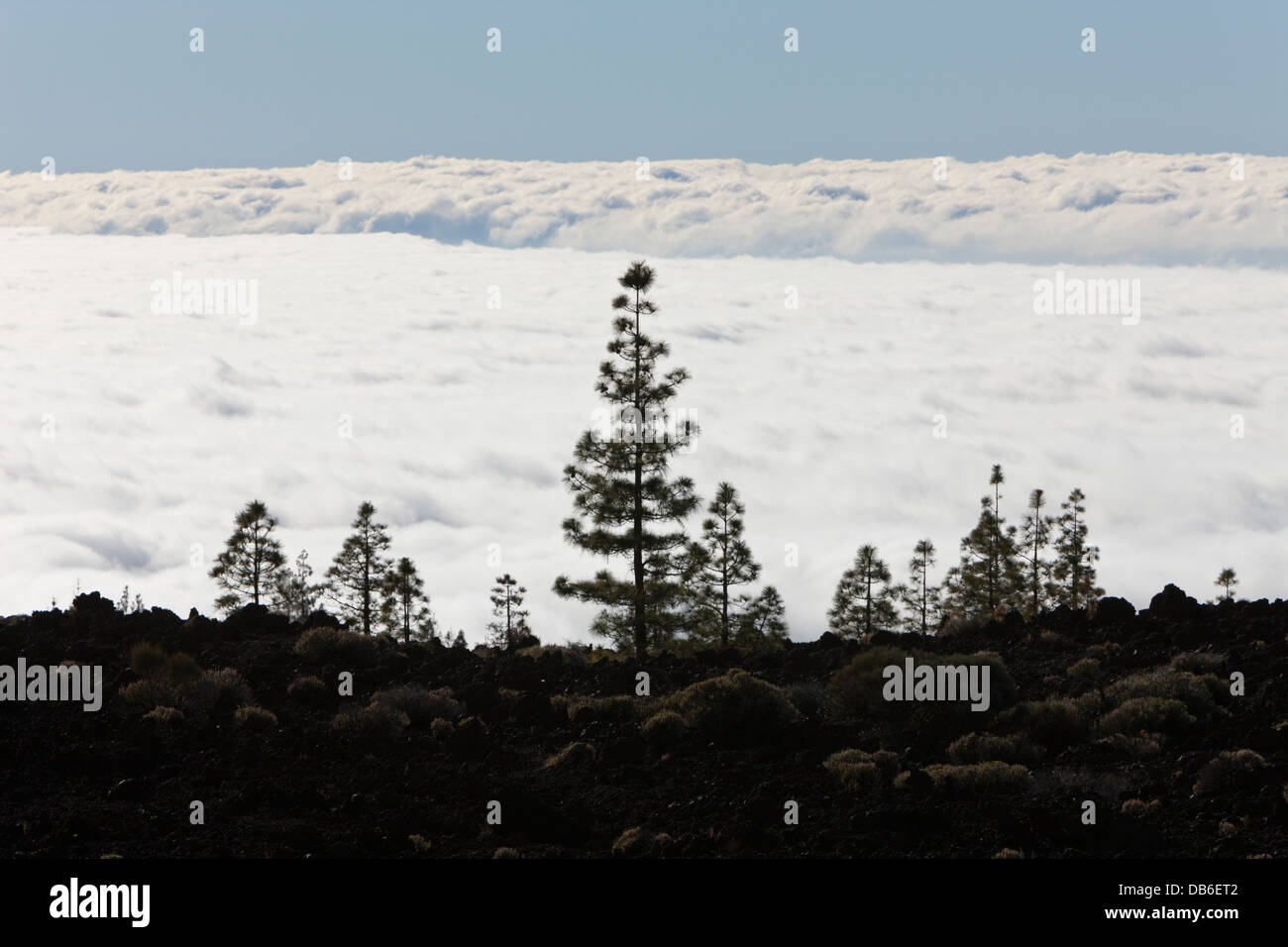 Wolkendecke unter Teide Nationalpark, Teneriffa, Kanarische Inseln, Spanien Stockfoto