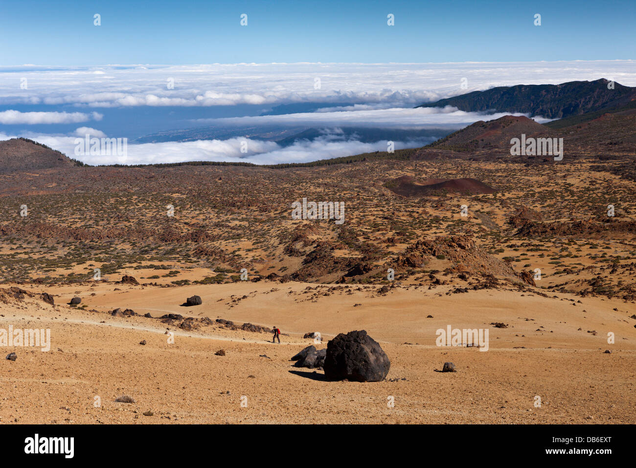 Teide Eiern oder Lava Accreation Kugeln im Teide-Nationalpark, Teneriffa, Kanarische Inseln, Spanien Stockfoto