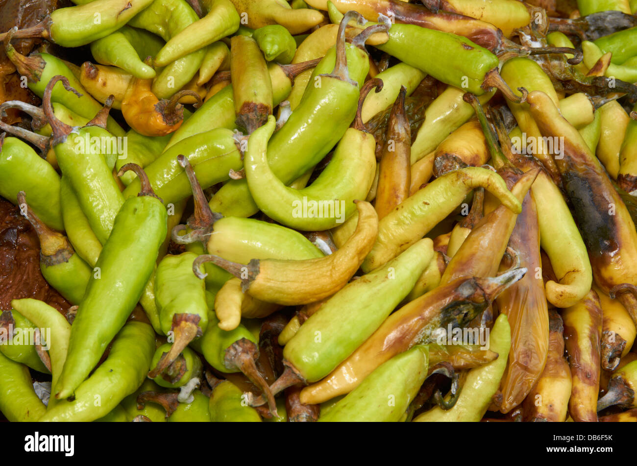 grüne Chilischoten Verschwendung von Lebensmitteln Stockfoto