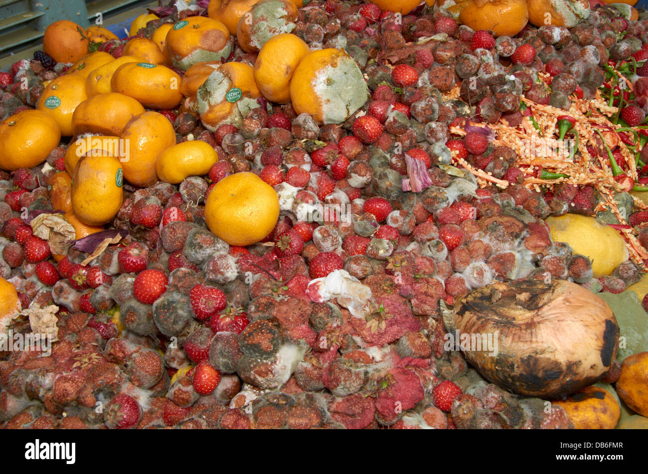 Obst & Verschwendung von pflanzlichen Lebensmitteln Stockfoto