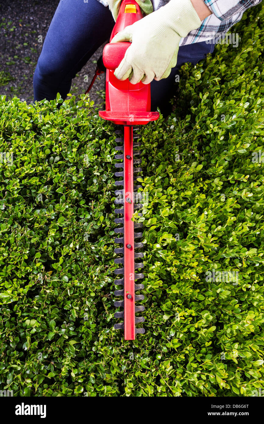 Vertikale Foto weibliche Hände mit Handschuhen, schneiden die Hecken über große elektrische Scheren mit konkreten Patio in Zeitmessung Stockfoto