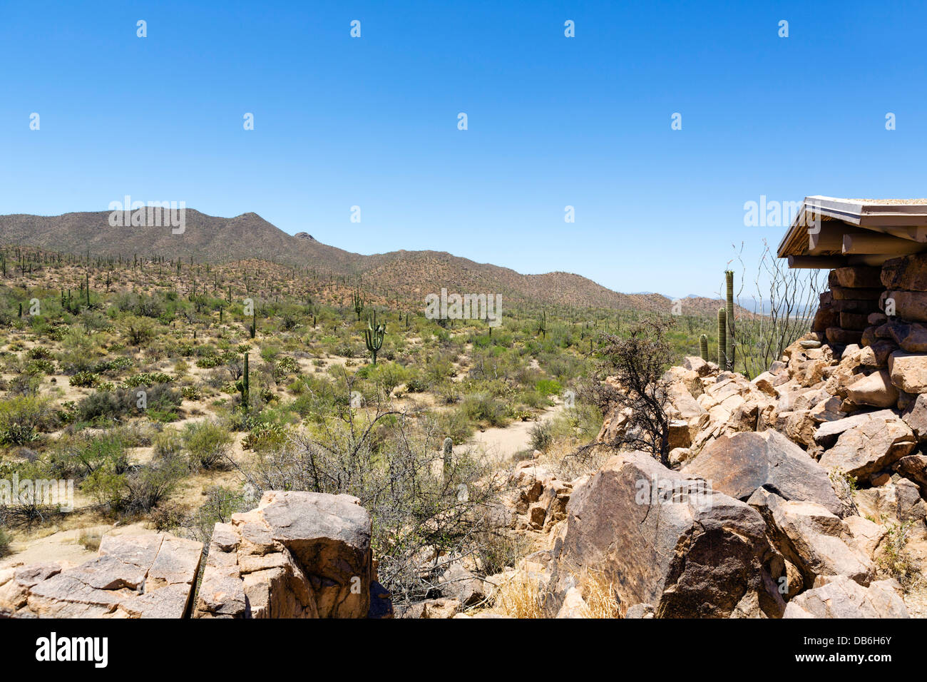 Saguaro National Park West, Tucson, Arizona, USA Stockfoto