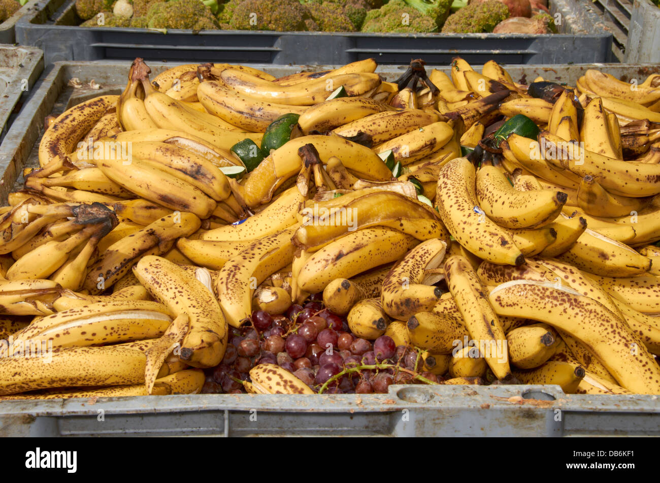 Obst & Verschwendung von pflanzlichen Lebensmitteln Stockfoto