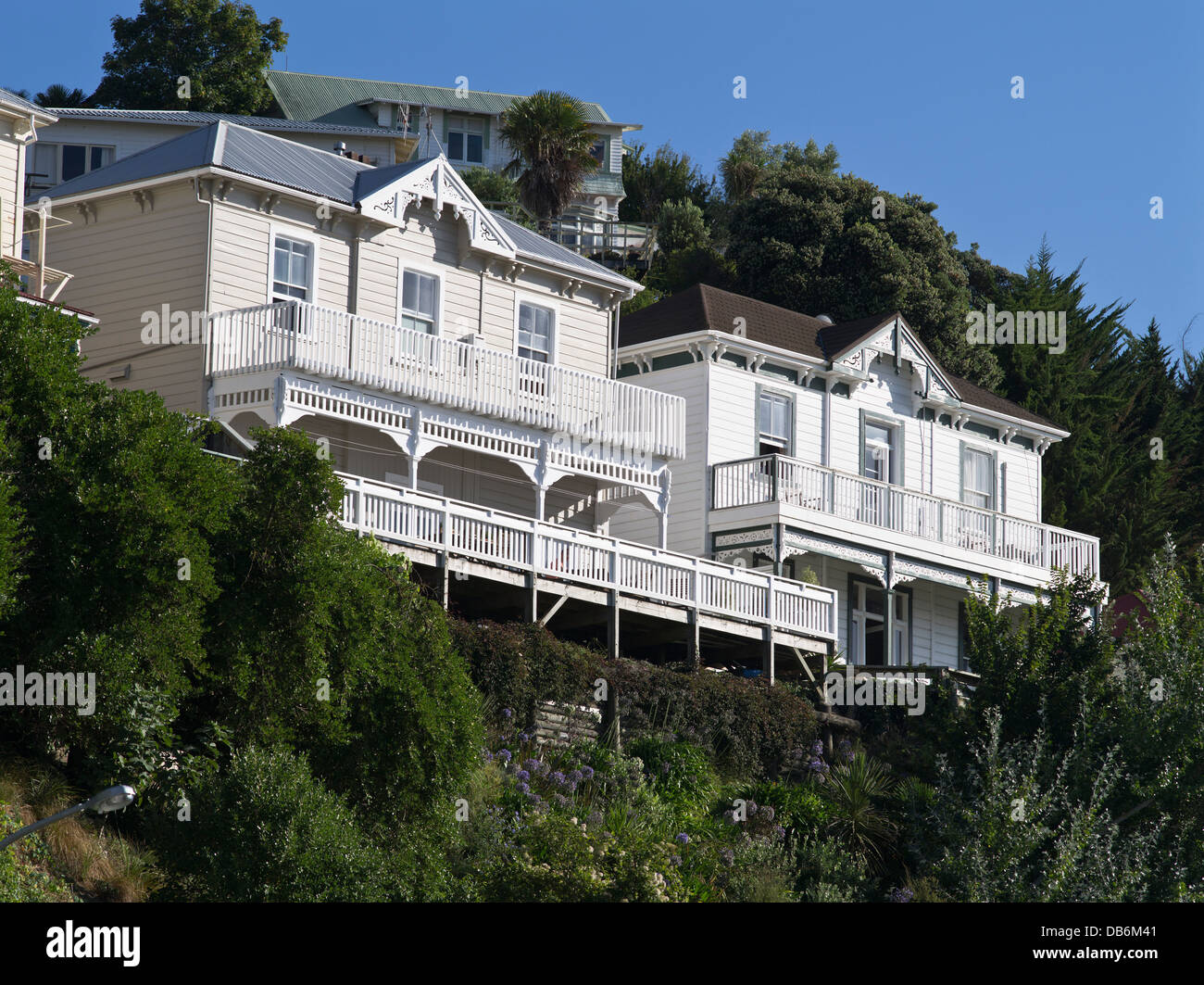 Dh Holzhäuser NAPIER NEUSEELAND thront auf einem Hügel nördlich der Insel Häuser Holz haus Bewohner Exterieur home Stockfoto