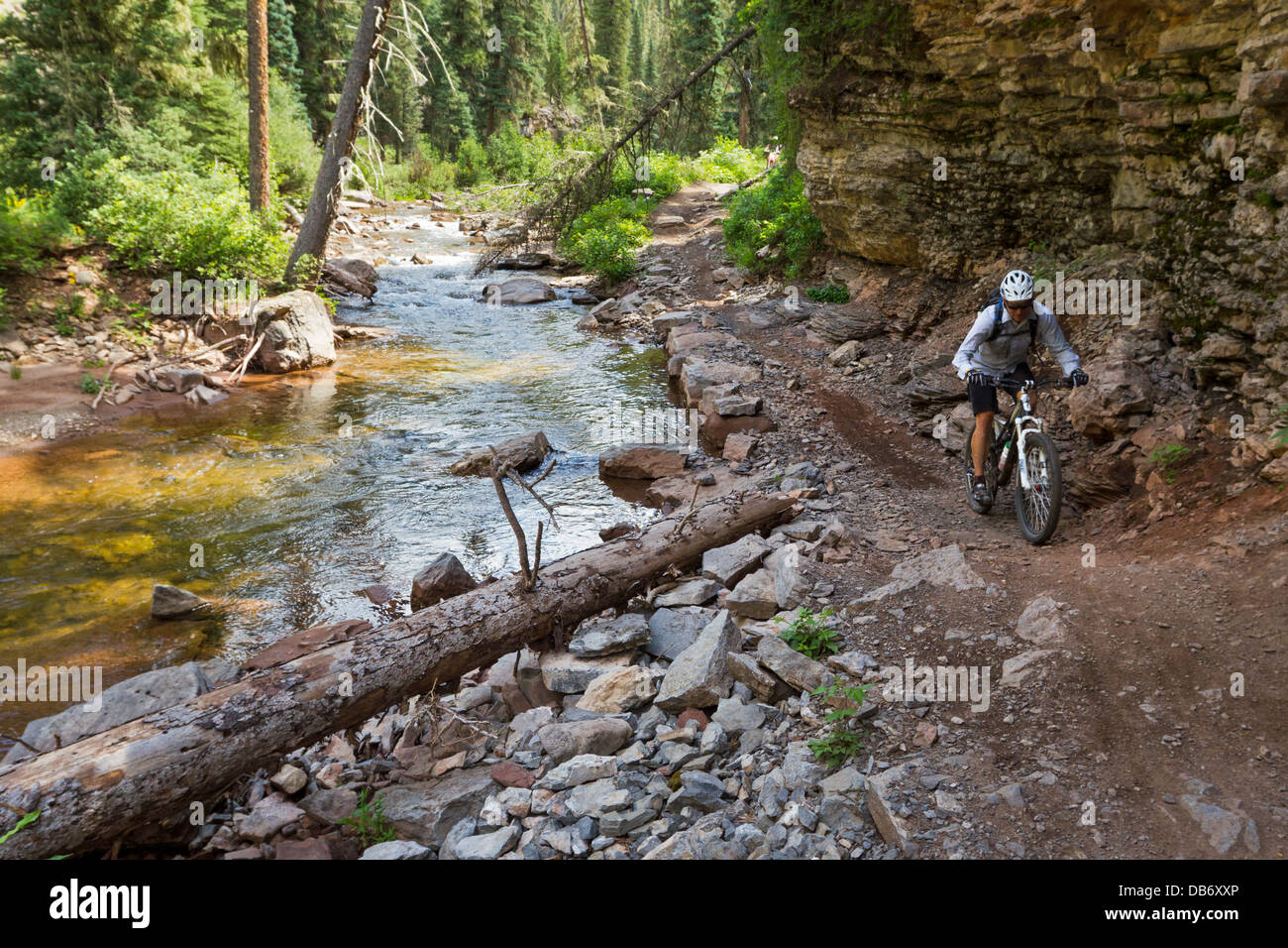 Tim Bateman Mountainbike-Touren auf den Spuren von Hermosa Creek in der Nähe von Durango, Colorado. Stockfoto