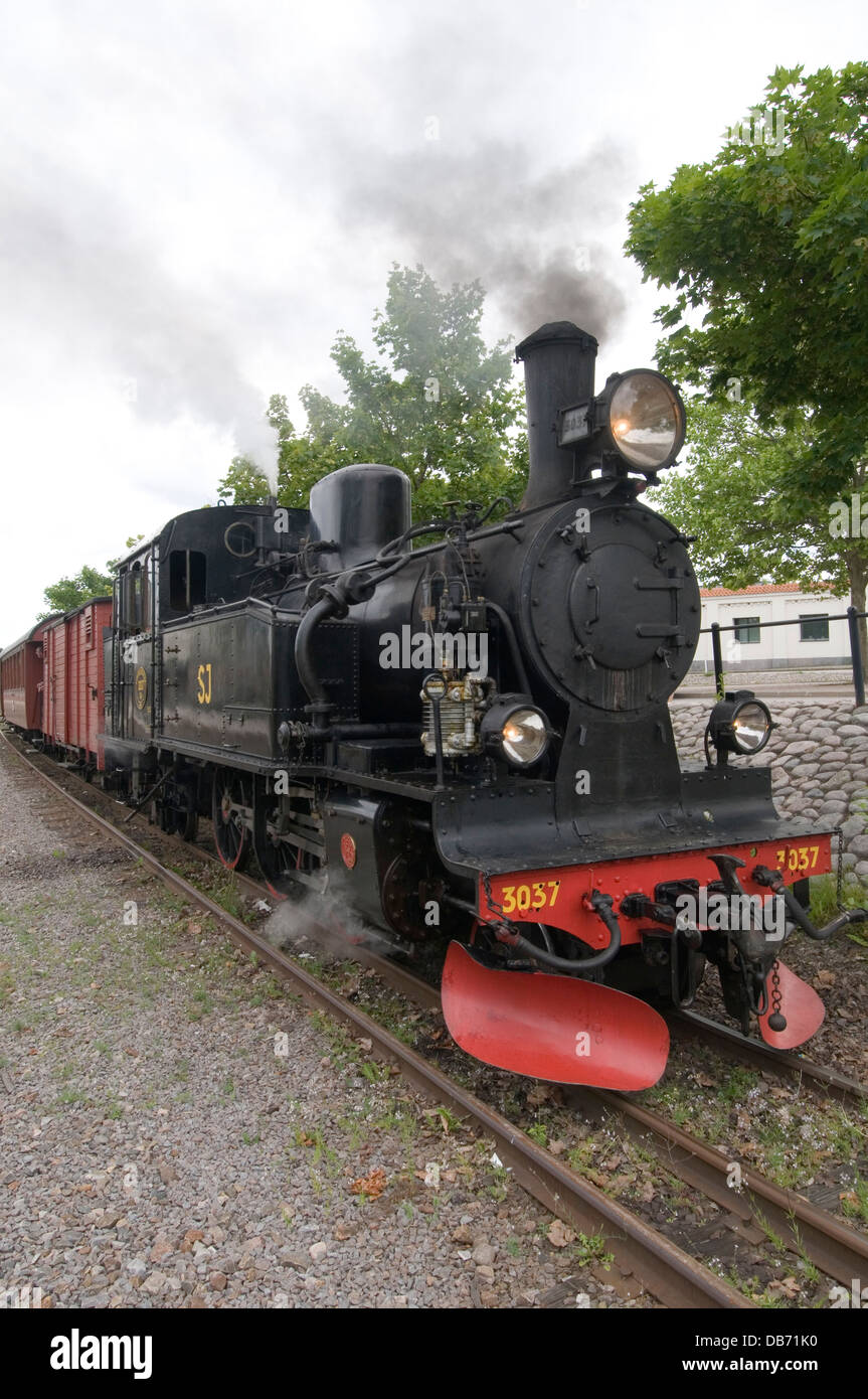 Dampf-Zug Züge schmalspurige Eisenbahn Schweden Schwedisch Stockfoto