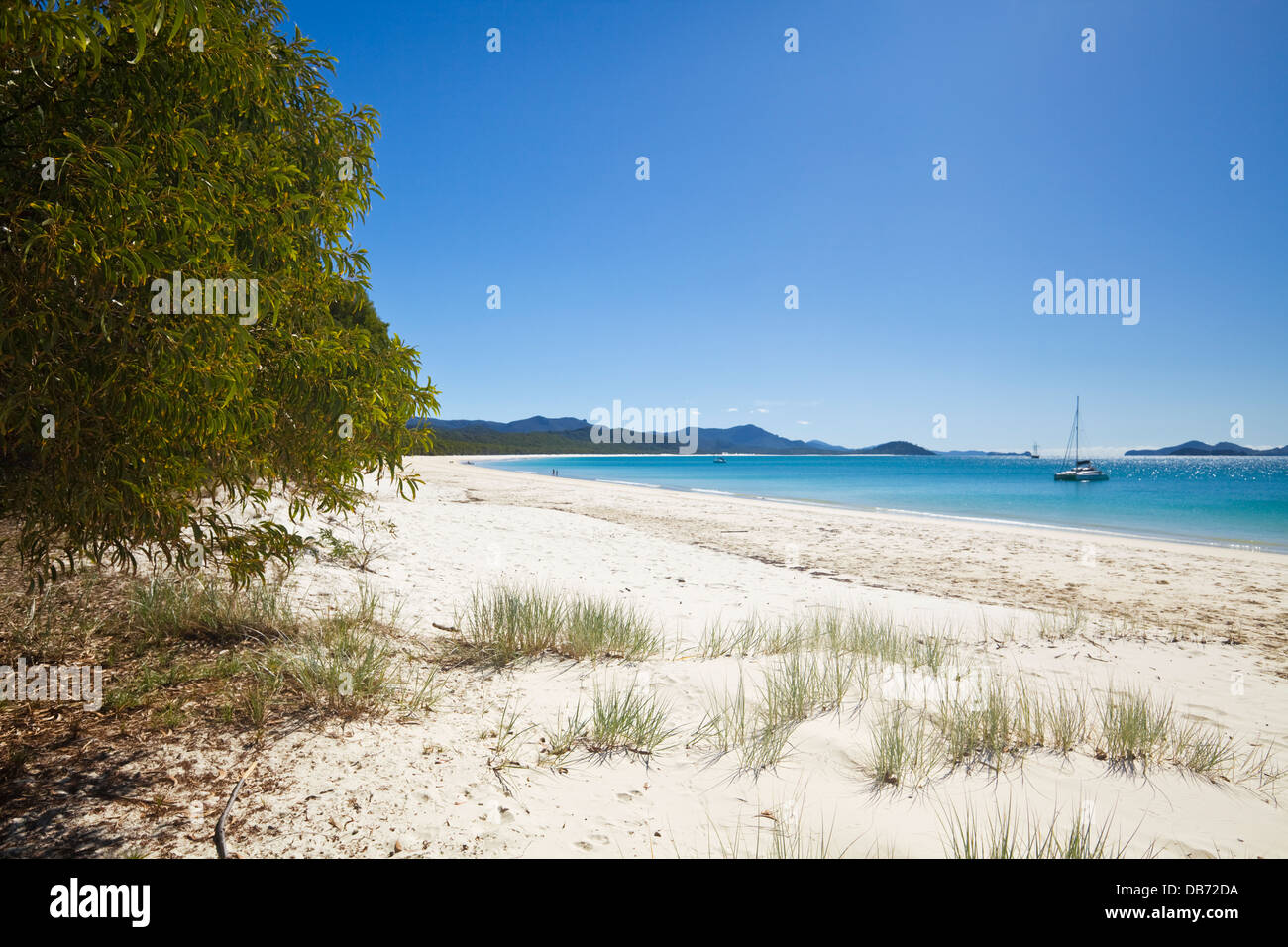 Whitehaven Beach, Whitsunday Island, Whitsundays, Queensland, Australien Stockfoto