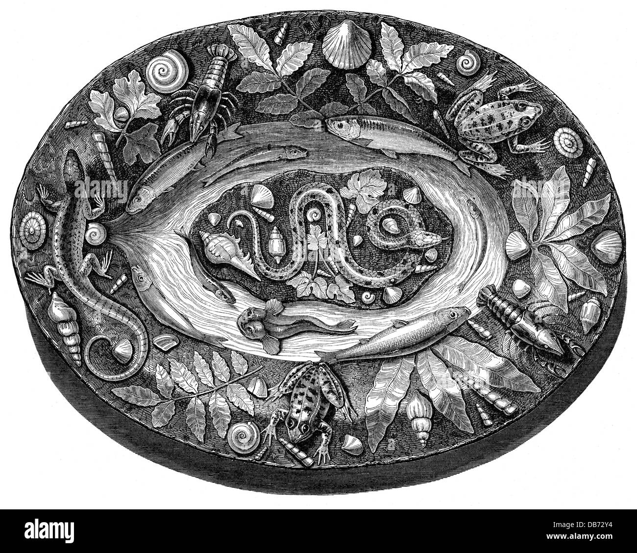 Bildende Kunst, Kunsthandwerk, Teller mit Meereslebewesen, Fröschen und Reptilien, von Bernard Palissy (1510 - 1589), 16. Jahrhundert, Keramik, emailliert, Louvre, Paris, Holzstich, zusätzliche-Rechte-Clearences-nicht verfügbar Stockfoto