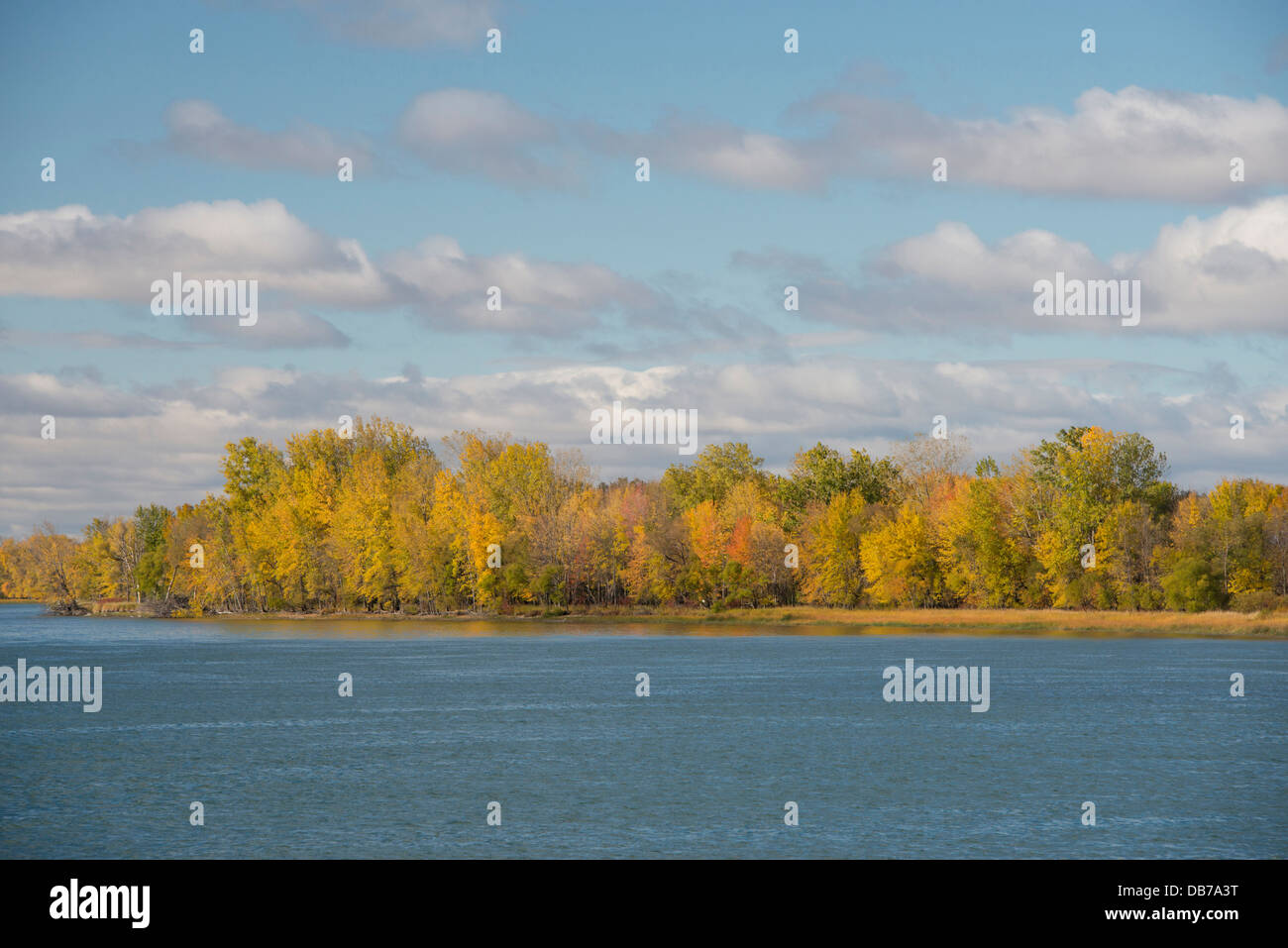 Kanada, Quebec, St.-Lorenz-Strom in der Nähe von Three Rivers (aka Trois-RiviËres). Herbstfarben entlang des St. Lawrence River. Stockfoto