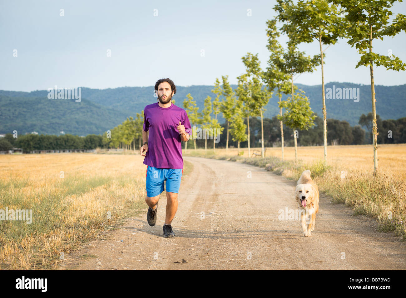 Kerl läuft mit einem Hund in der Natur Stockfoto