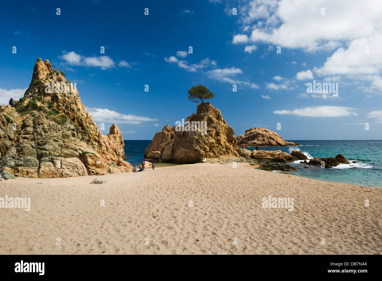 Sandstrand mit Felsen und einsamen Baum Stockfoto