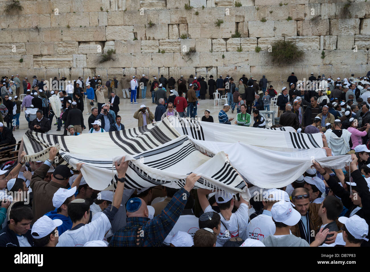 Gläubigen Gebet Schals über ihren Köpfen halten. Klagemauer. Altstadt von Jerusalem. Israel. Stockfoto