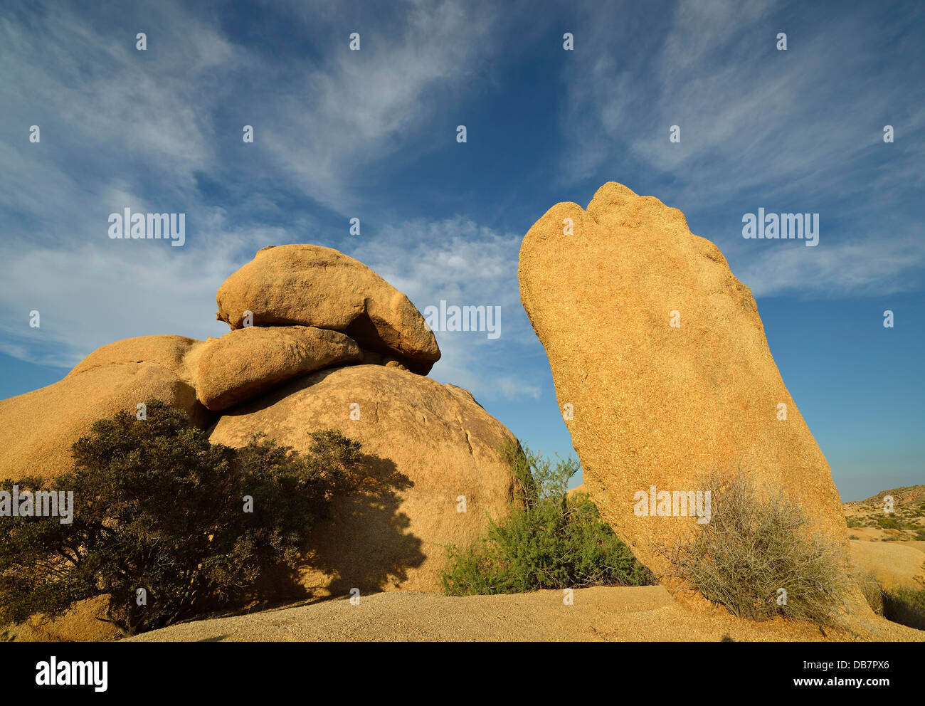 Das Kaninchen, einer Felsformation Monzogranit, Jumbo Rocks Stockfoto