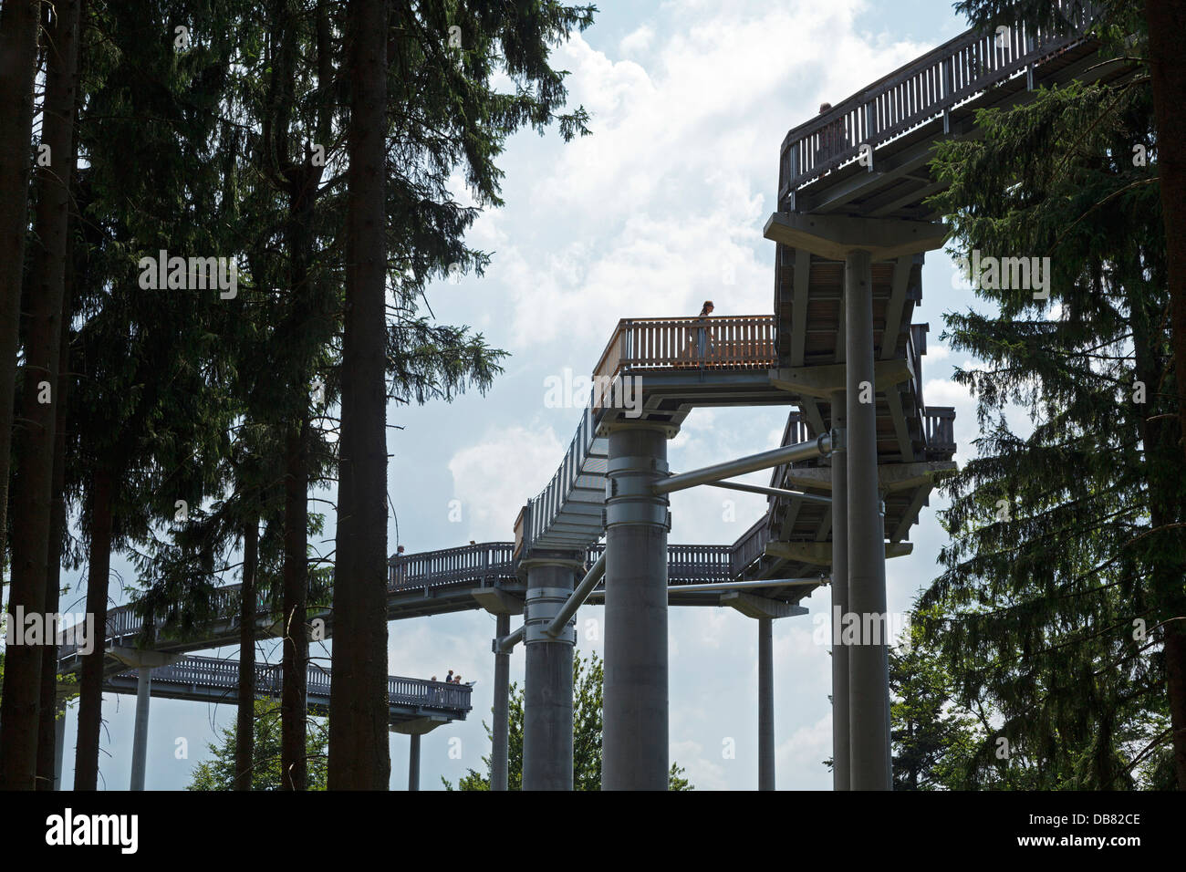 Canopy Walkway, Maibrunn, Bayerischer Wald, Bayern, Deutschland Stockfoto