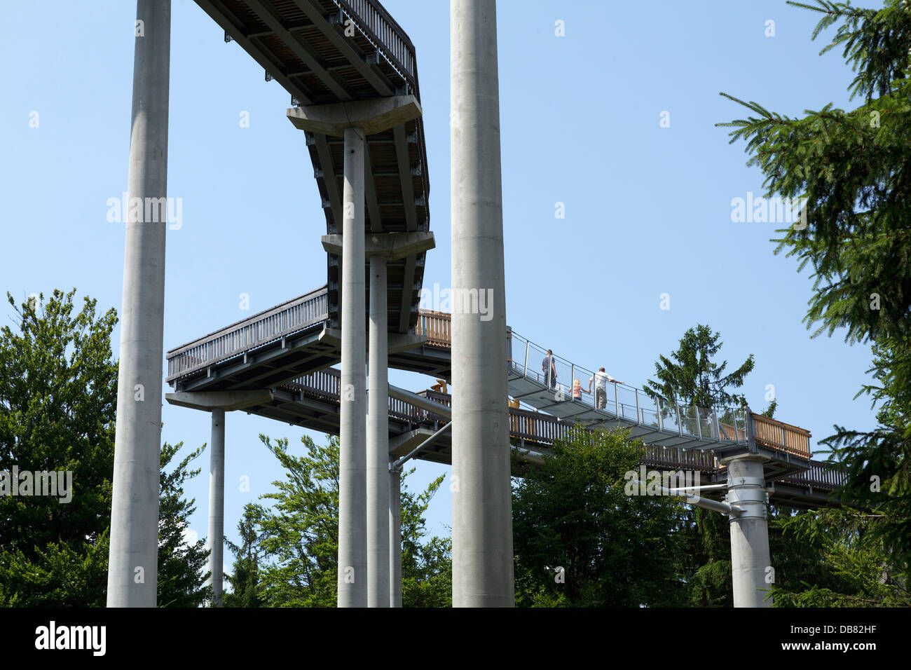 Canopy Walkway, Maibrunn, Bayerischer Wald, Bayern, Deutschland Stockfoto