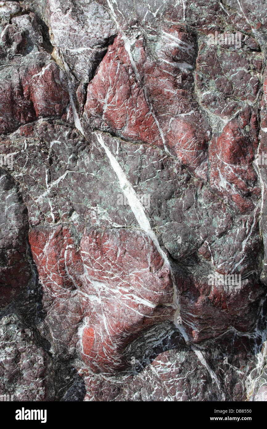 Roter Jaspis auf Llanddwyn Island Stockfoto