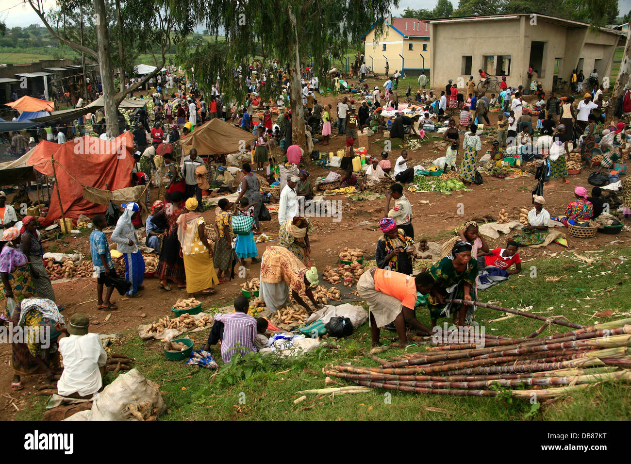 bunten Obst- und Gemüsemarkt in der Nähe der Stadt Rwimi im ländlichen Uganda Stockfoto