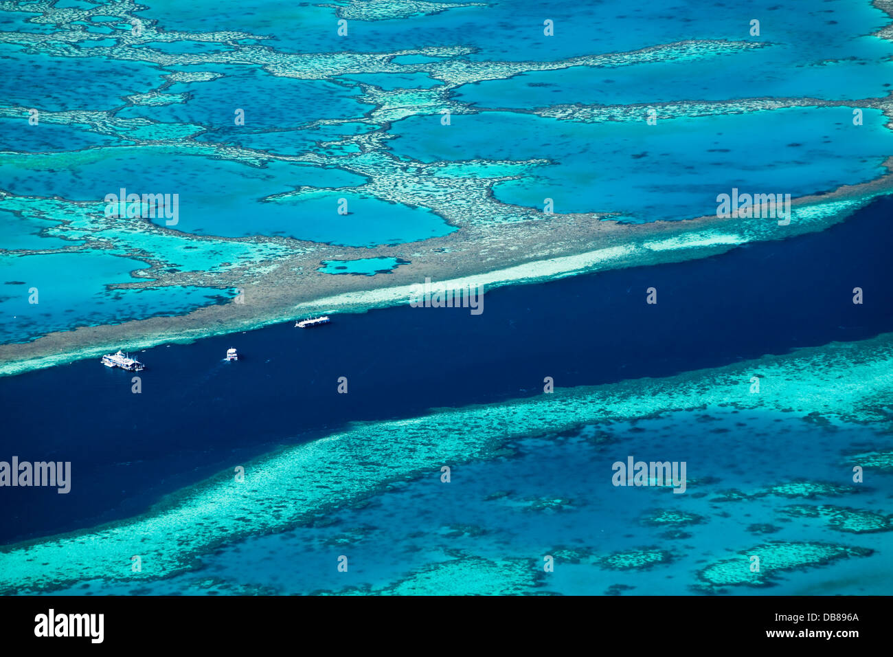 Luftaufnahme des Riff Ponton festgemacht zwischen Hardys Riff und Hook Riff. Great Barrier Reef Marine Park, Australien Stockfoto