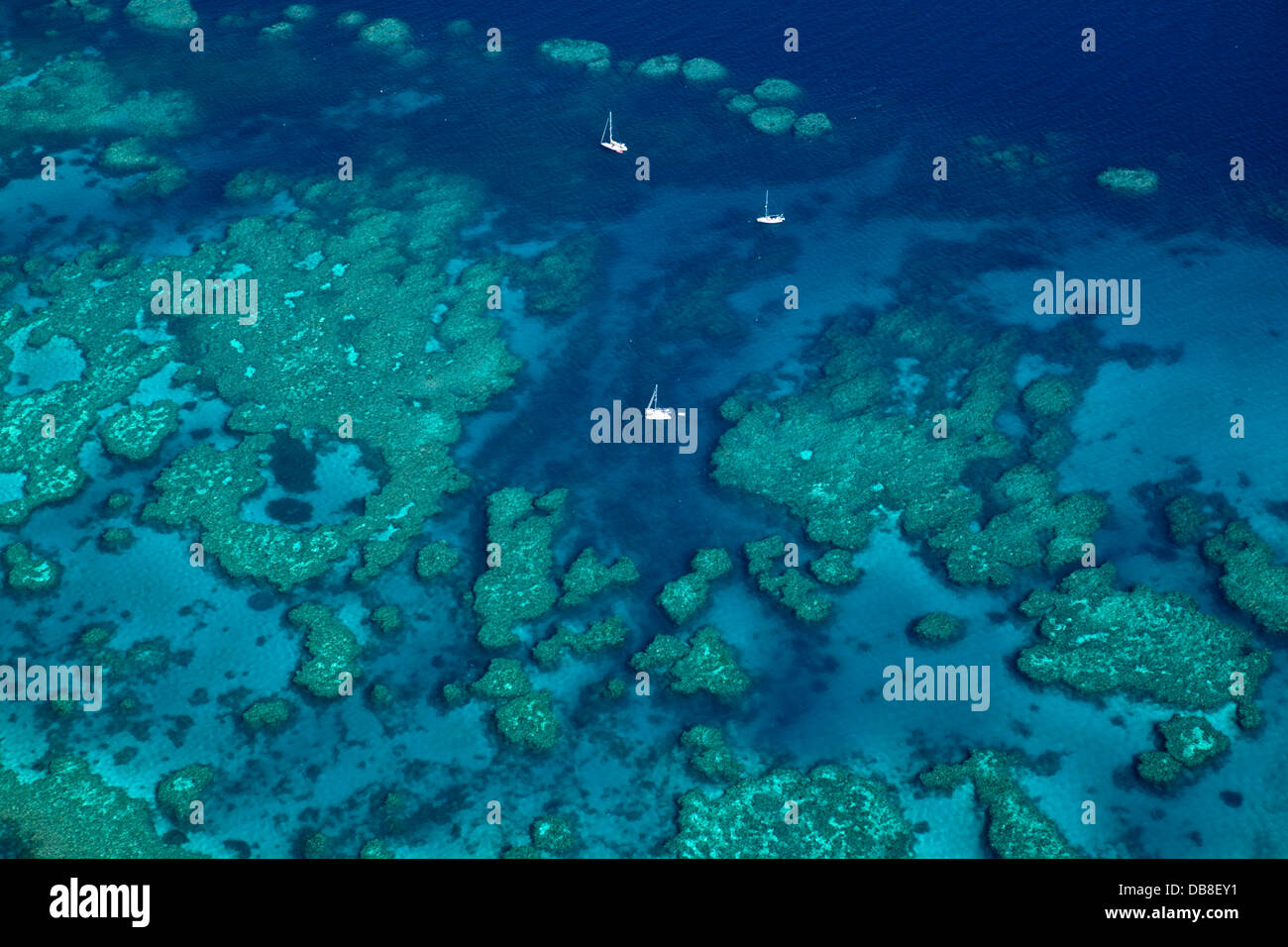 Luftaufnahme von Yachten vertäut am Bait Reef. Great Barrier Reef Marine Park, Whitsundays, Queensland, Australien Stockfoto