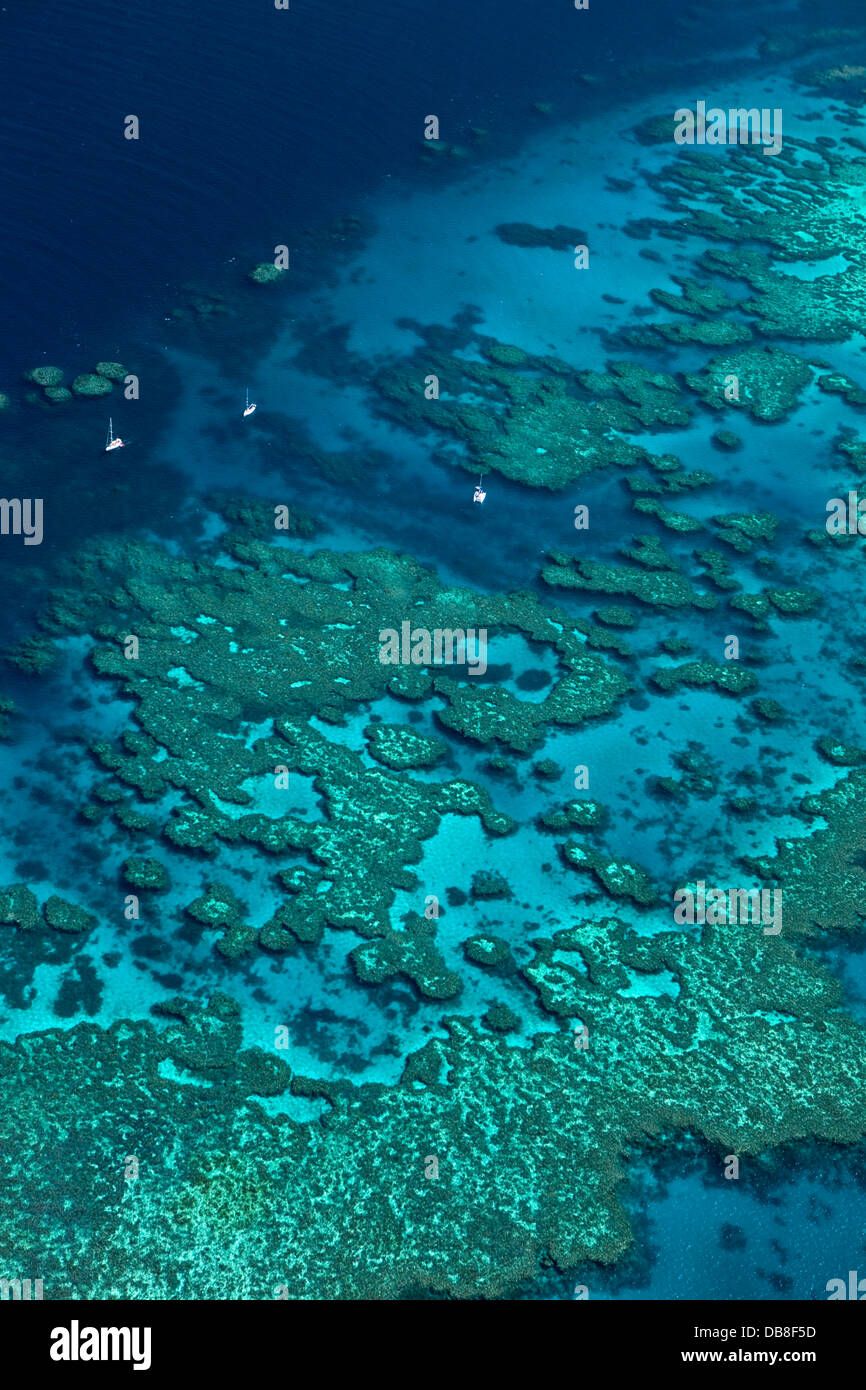 Luftaufnahme des Bait Reef. Great Barrier Reef Marine Park, Whitsundays, Queensland, Australien Stockfoto