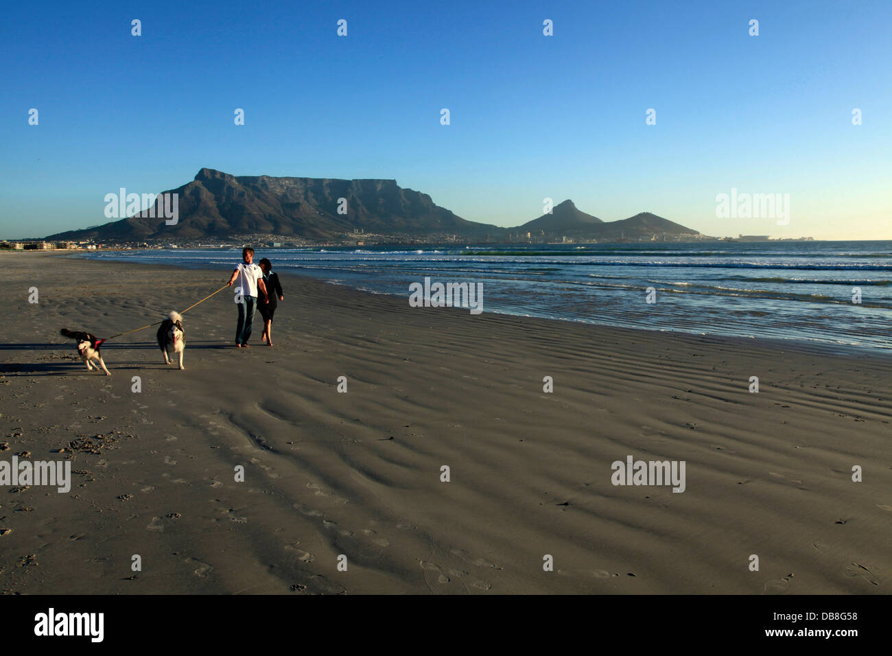 Passanten, die ihren Hund mit einem Blick von Milnerton Strand bei Sonnenuntergang des Tafelbergs und Lions Head und Teufels Peak, Kapstadt Stockfoto