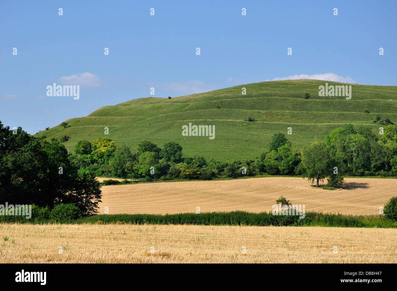 Ein Blick auf Hambledon Hill, eine Eisenzeit Burgberg. Dorset, UK Stockfoto