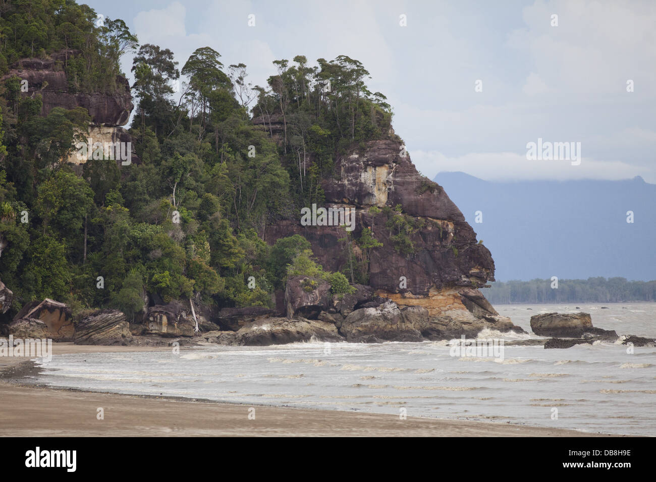 Tropischer Regenwald auf den Strand, Bako Nationalpark, Sarawak, Malaysia Stockfoto