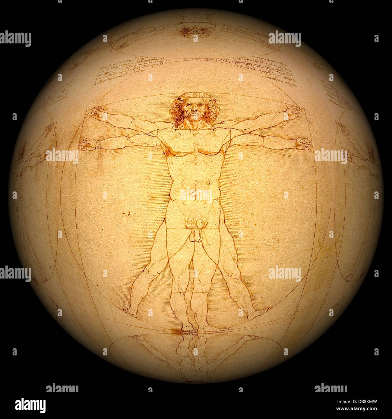 Der vitruvianische Mann, geschaffen von Leonardo da Vinci, ist eine berühmte Zeichnung, die die idealen menschlichen Proportionen veranschaulicht. Das Werk basiert auf den Studien des antiken römischen Architekten Vitruv. Stockfoto