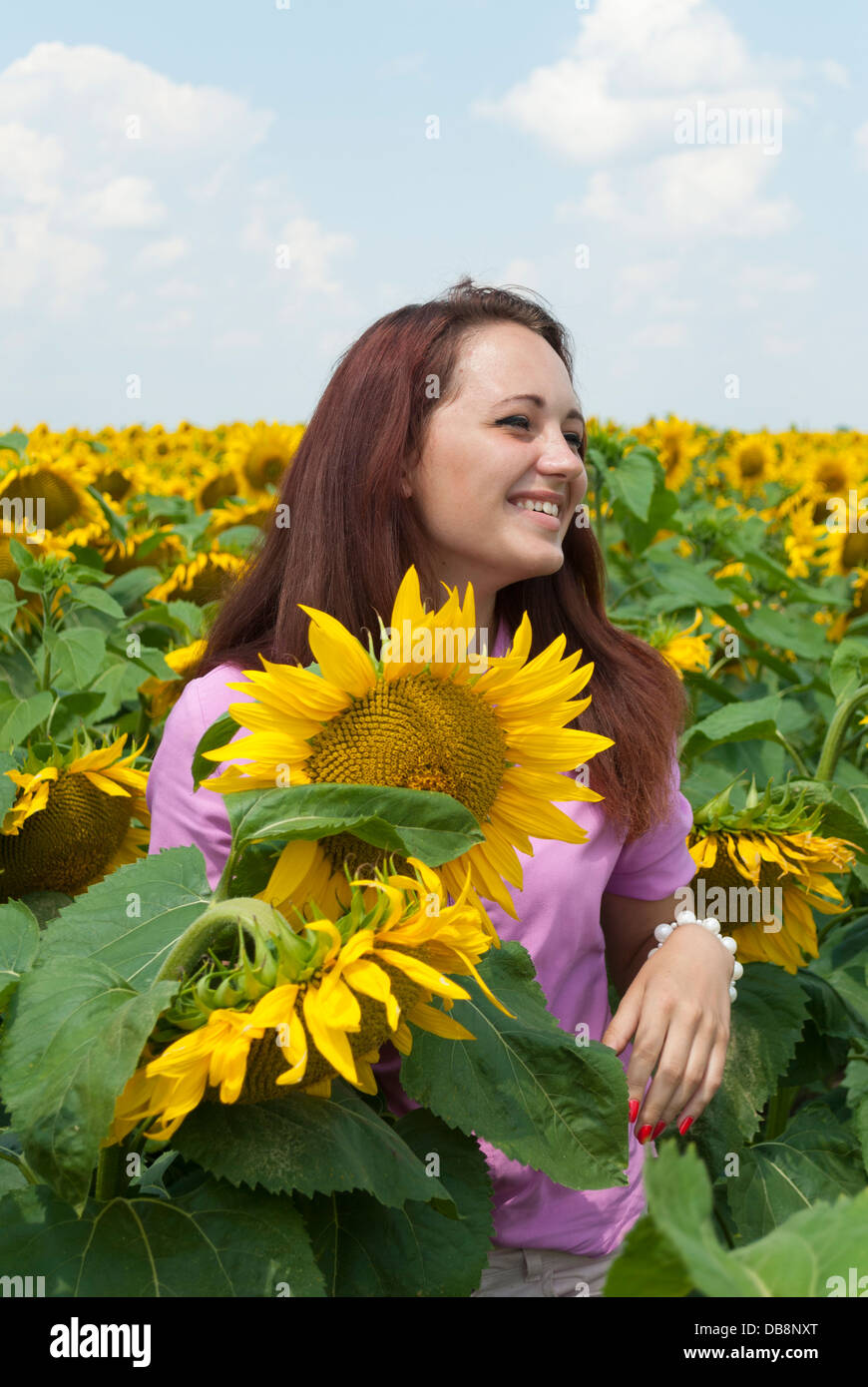 Schöne Mädchen in einem Feld von Sonnenblumen. Stockfoto