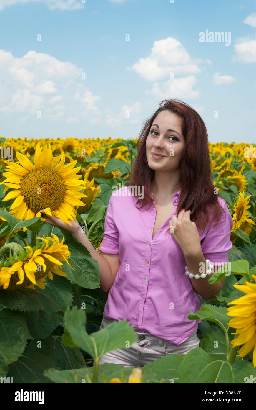 Schöne Mädchen in einem Feld von Sonnenblumen. Stockfoto