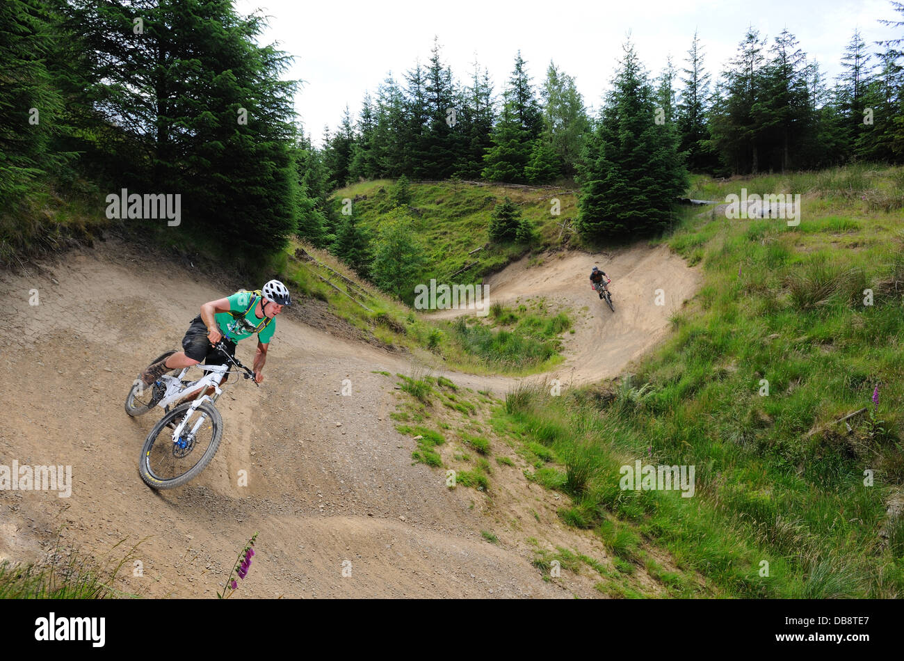 Mountainbiker auf hully Gully, Gisburnund Wald Stockfoto