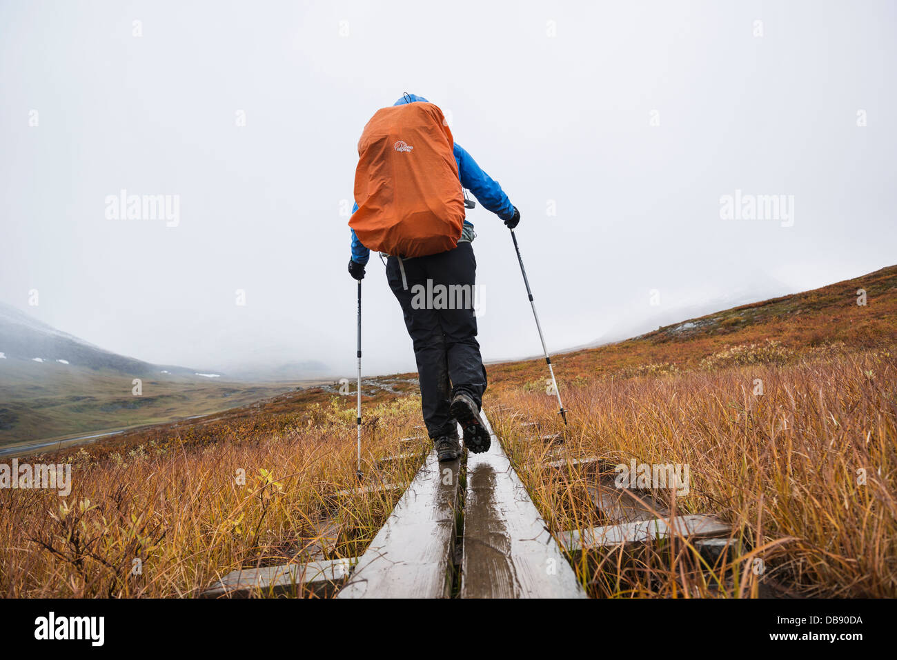 Weibliche Wanderer Spaziergänge auf Holzbohlen in Tjäktjavagge Kungsleden unterwegs, Lappland, Schweden Stockfoto