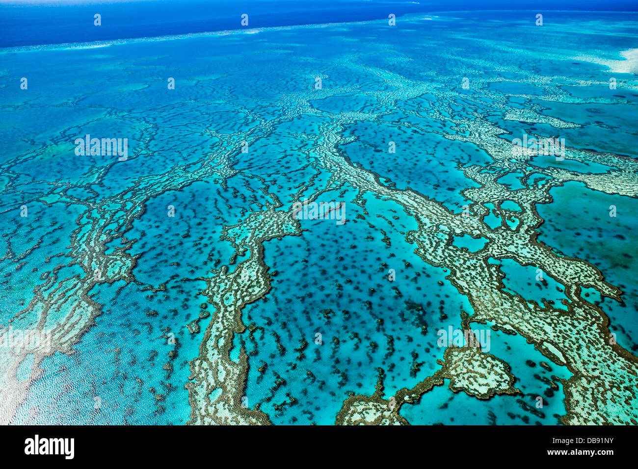 Luftaufnahme von Korallen-Formationen im Hardys Reef. Great Barrier Reef Marine Park, Whitsundays, Queensland, Australien Stockfoto
