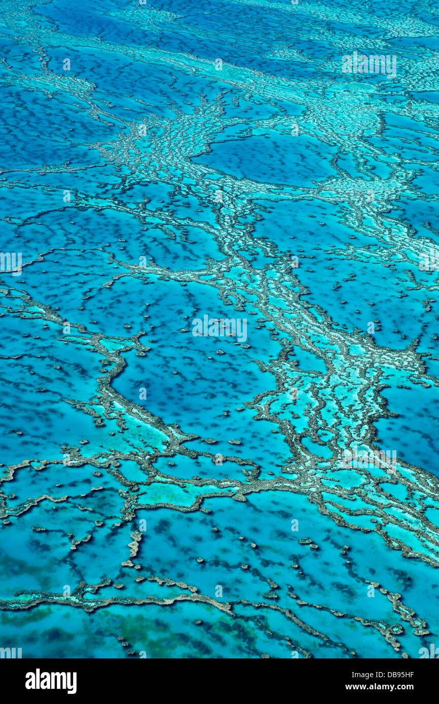 Luftaufnahme von Korallen-Formationen im Hardys Reef. Great Barrier Reef Marine Park, Whitsundays, Queensland, Australien Stockfoto