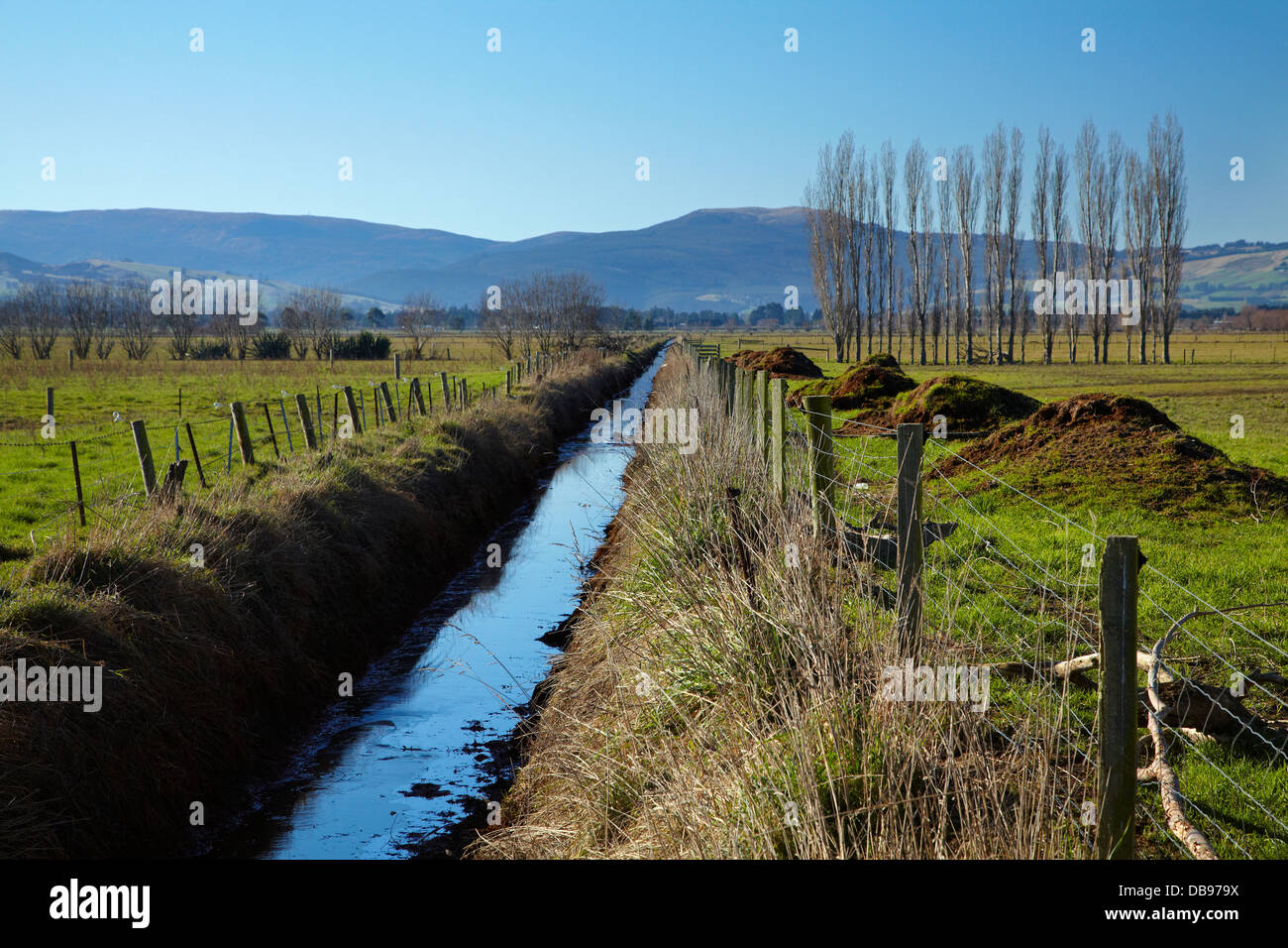 Entwässerungsrinne und eingezäunt-Anliegerstaaten Streifen Taieri Plains, in der Nähe von Dunedin, Südinsel, Neuseeland Stockfoto