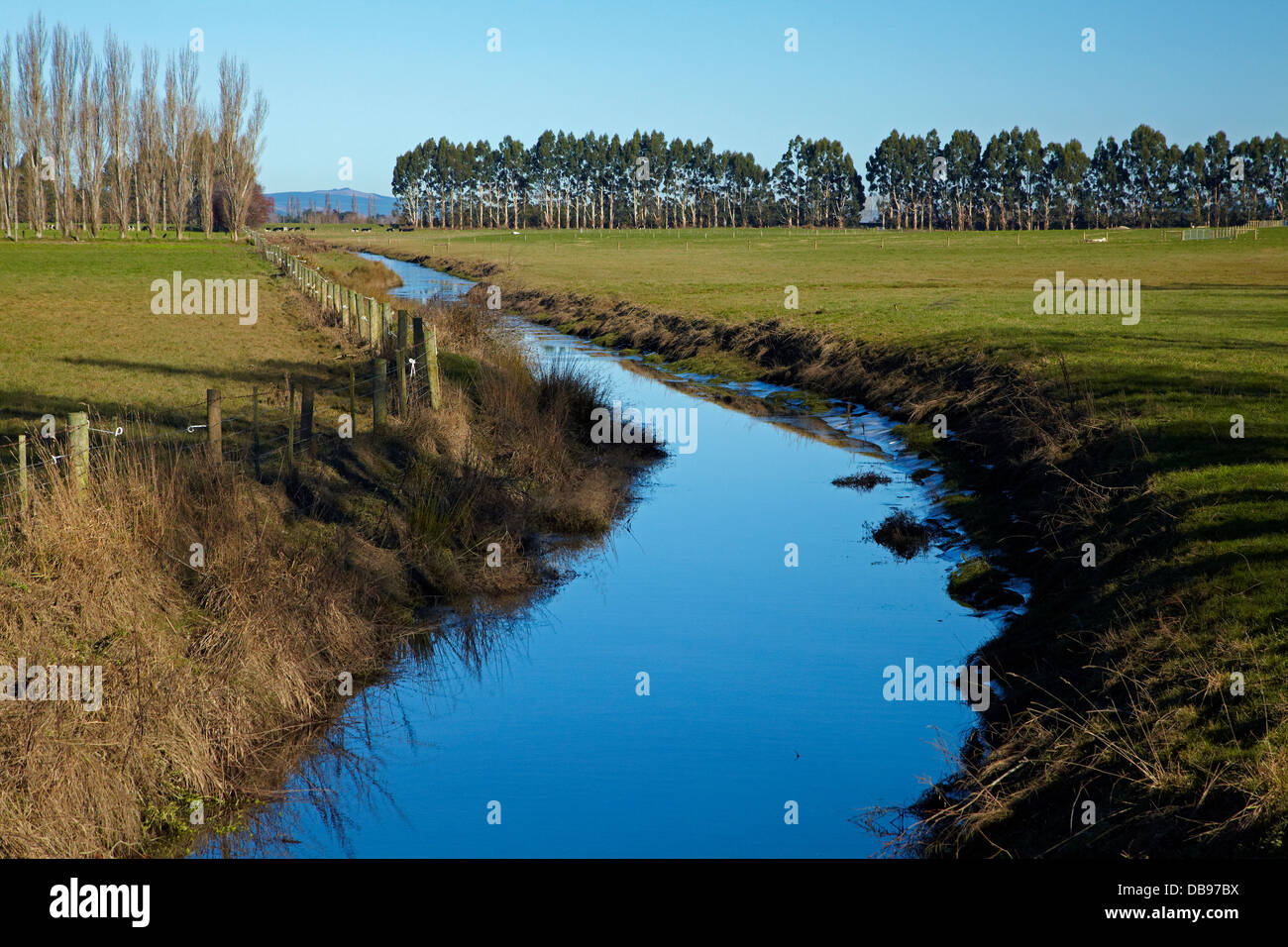 Entwässerungsrinne und teilweise eingezäunt-Anliegerstaaten Streifen Taieri Plains, in der Nähe von Dunedin, Südinsel, Neuseeland Stockfoto