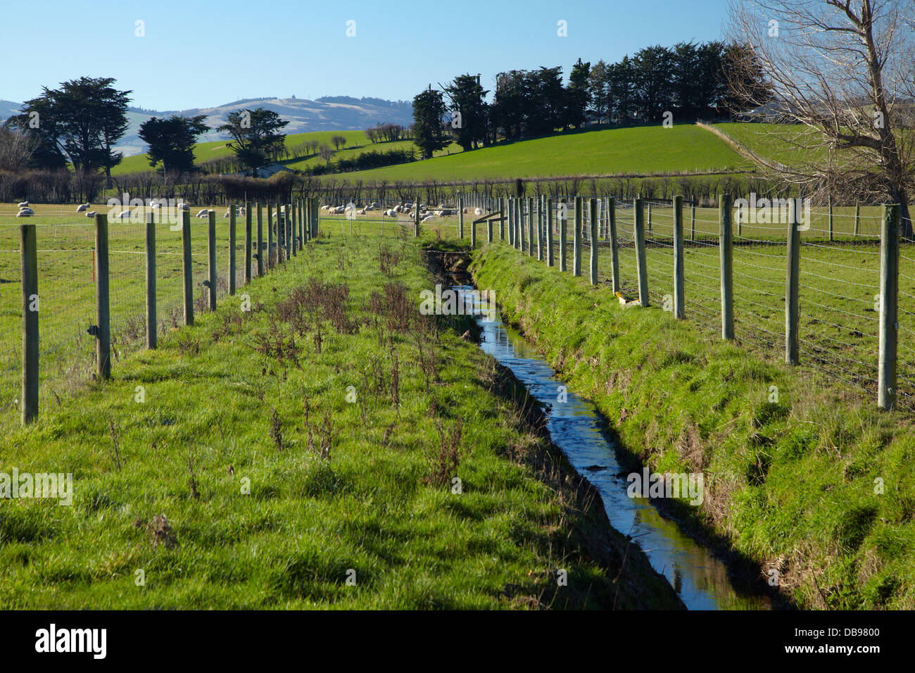 Entwässerungsrinne und eingezäunt-Anliegerstaaten Streifen Taieri Plains, in der Nähe von Dunedin, Südinsel, Neuseeland Stockfoto