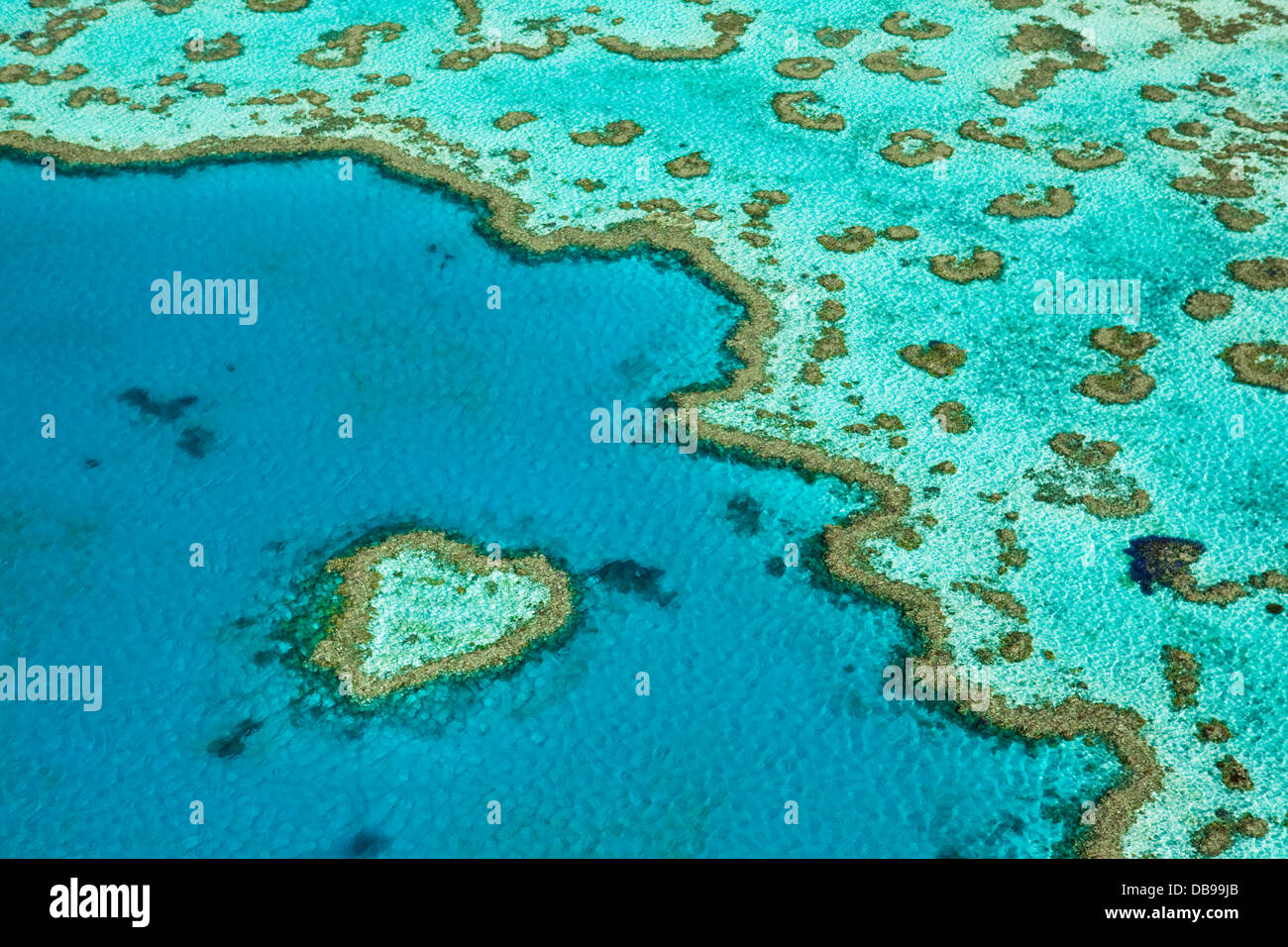 Luftaufnahme des "Heart Reef", eine herzförmige Korallenformationen im Hardys Reef. Great Barrier Reef Marine Park Stockfoto