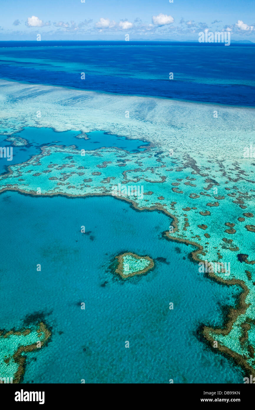 Luftaufnahme des "Heart Reef", eine herzförmige Korallenformationen im Hardys Reef. Great Barrier Reef Marine Park, Stockfoto