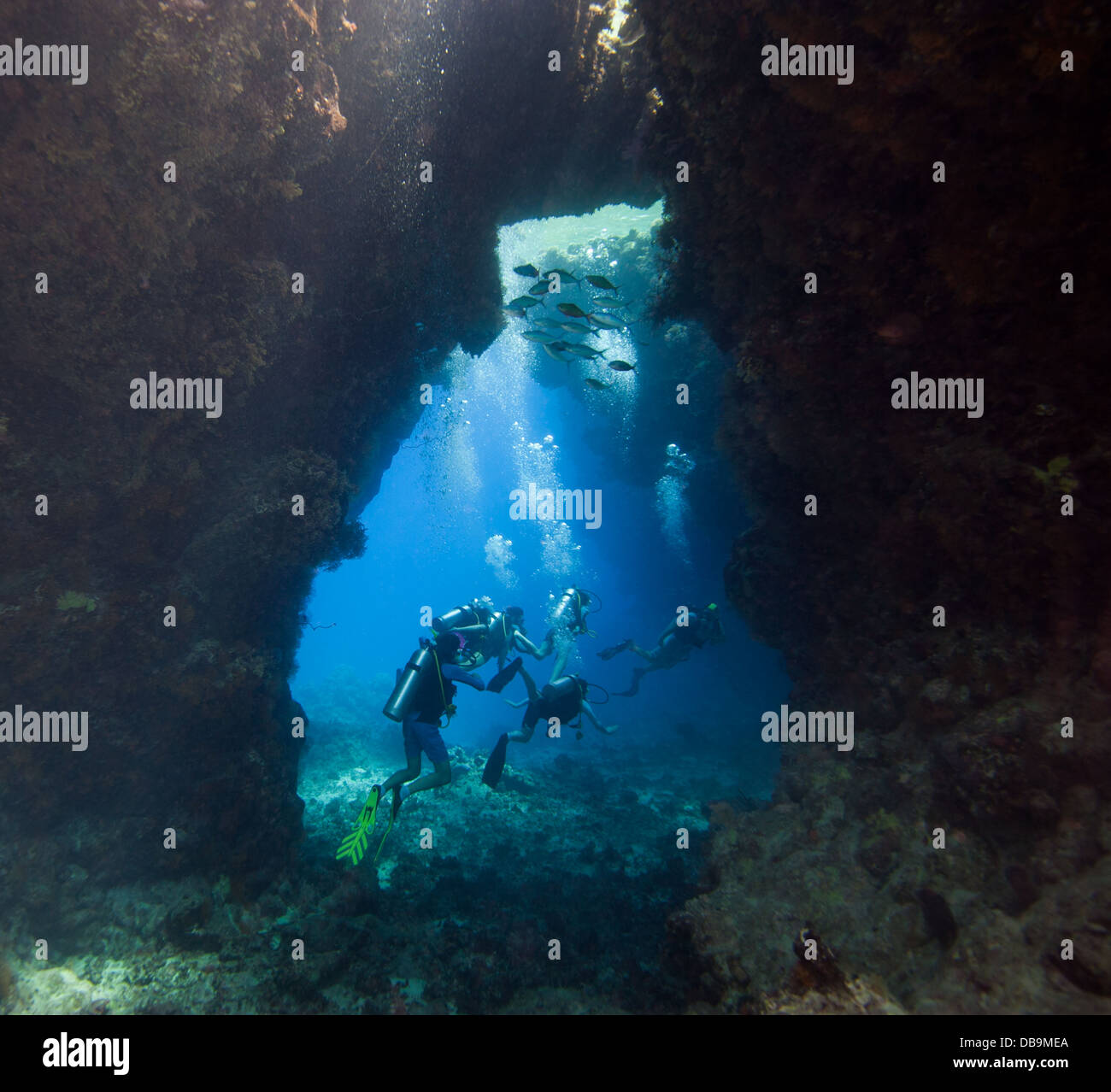 Schnorchler und Taucher eine Unterwasser Meer erkunden Höhle in ein tropisches Korallenriff Stockfoto