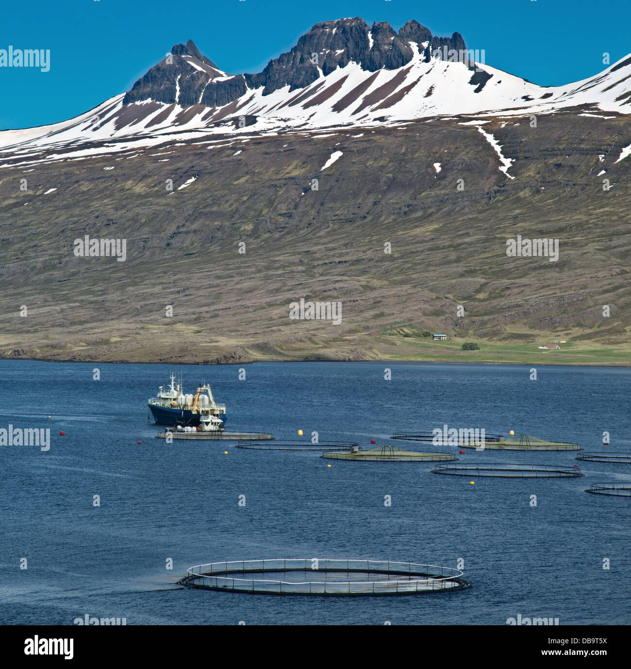 Aquakultur, Lachs Fisch Farm in einer isländischen Fjord mit auf der Rückseite die Berge mit Schnee. Stockfoto