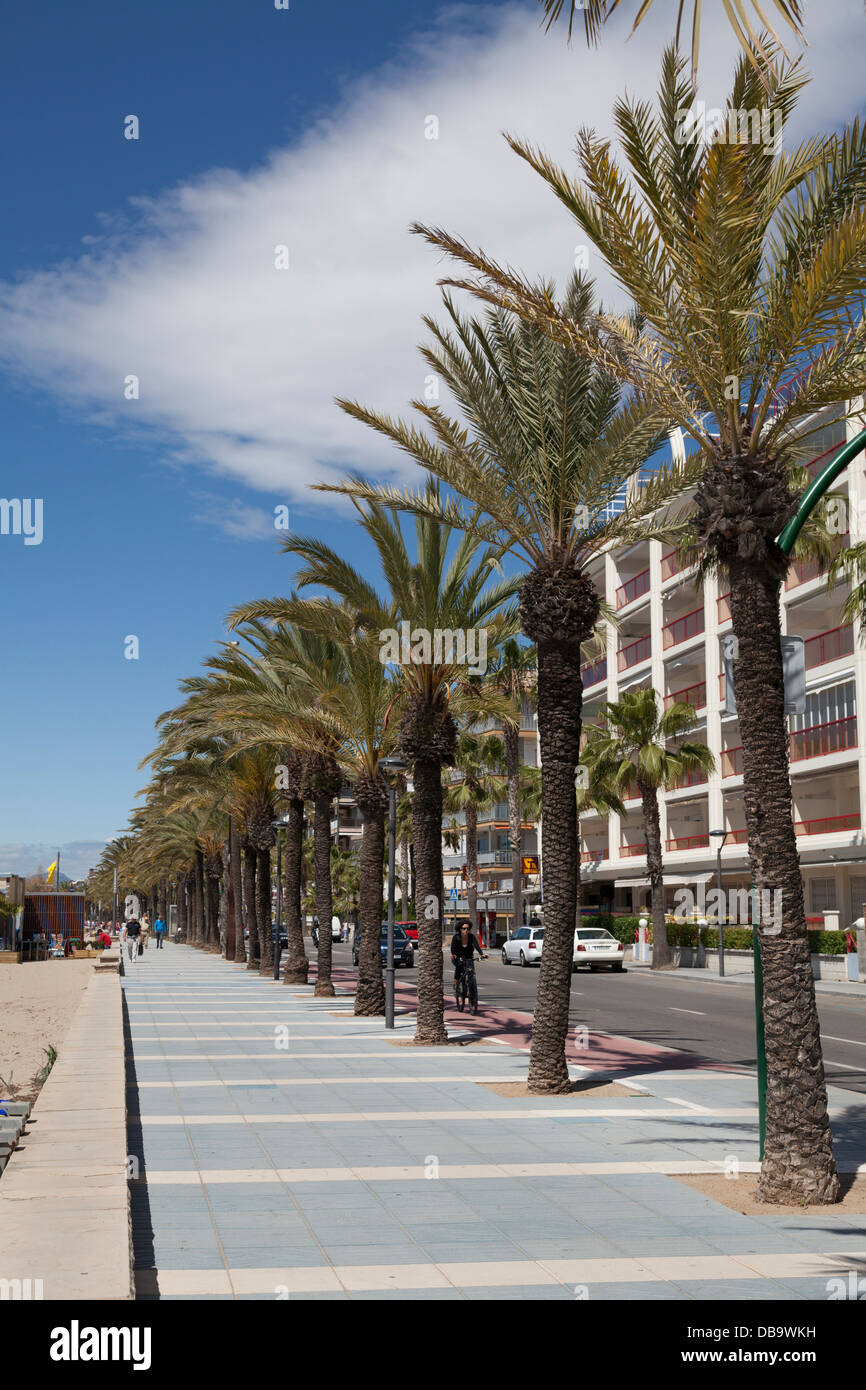 Palmengesäumten Promenade von Salou Spanien Stockfoto